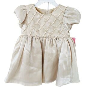 RARE EDITIONS Baby Dress Shimmer Organza Puff Sleeve 24 Months Pageant Easter